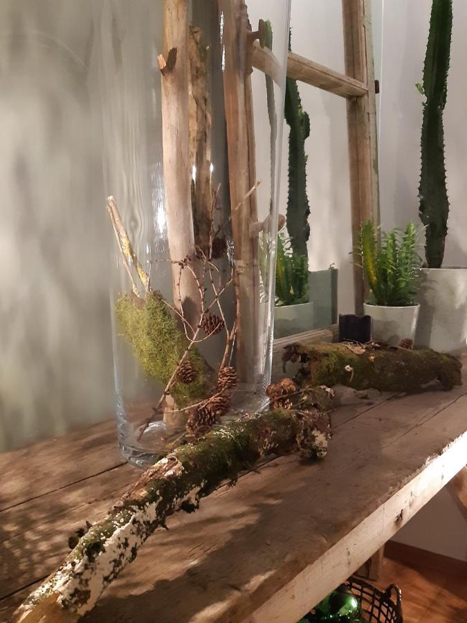 Chambres D'Hotes Herbes Folles Steenwerck Kültér fotó